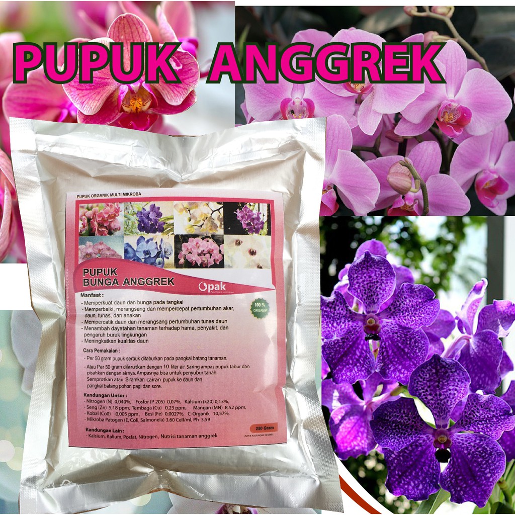 Pupuk Anggrek Tanaman Raja Bunga Anggrek Agar Cepat Berbunga