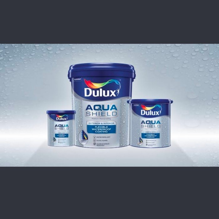 dulux aquashield 4kg 2