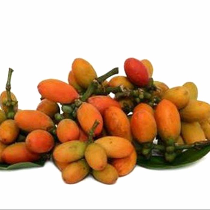 

buah melinjo 100gram / ninjo ninja tangkil