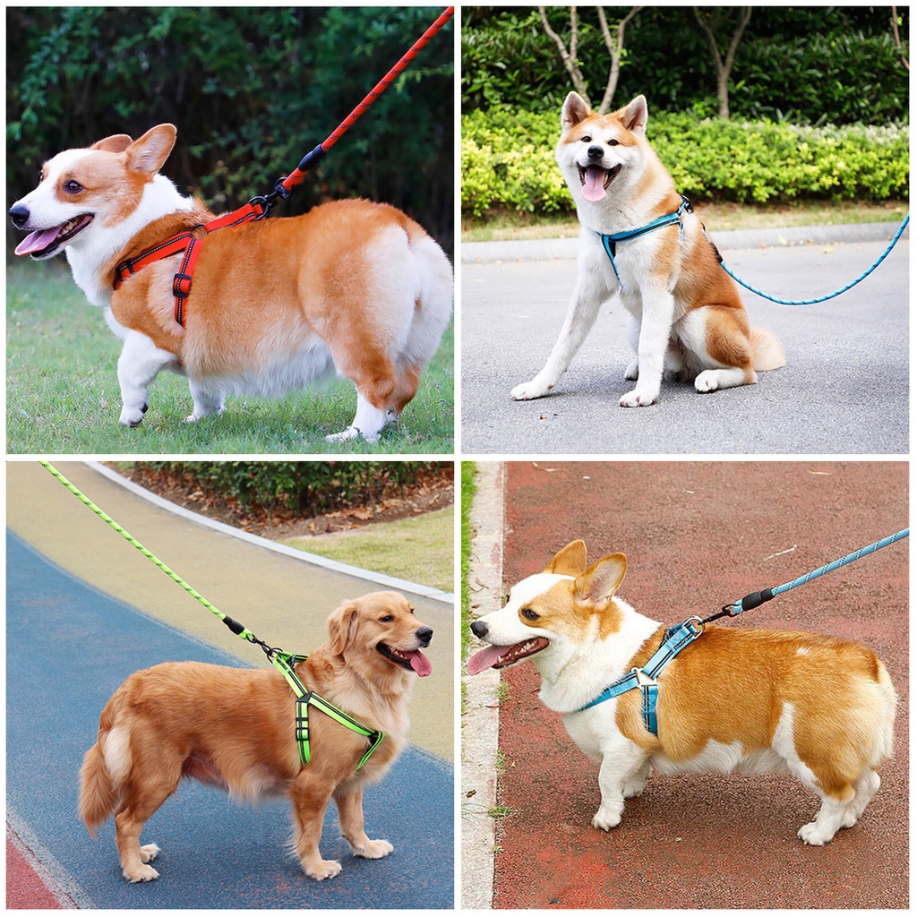 Pet Harness Dog Cat Stripe / Tali Tuntun Hewan Anjing Kucing Strip