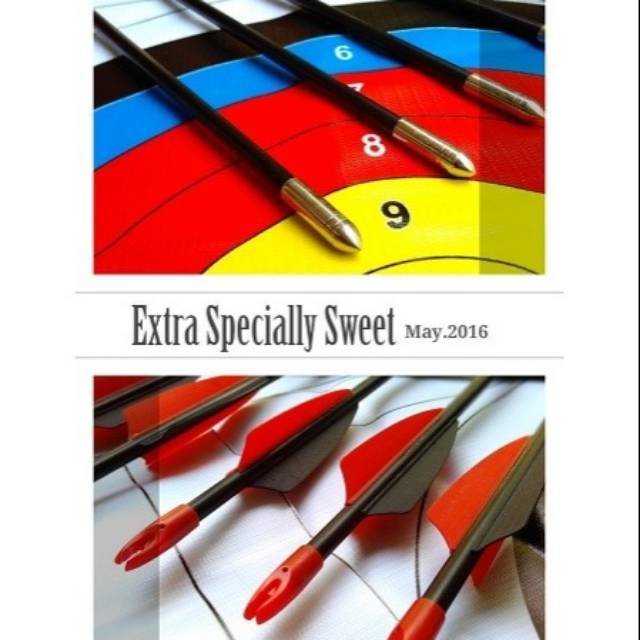 ARROW FIBER ANAK PANAH PANAHAN