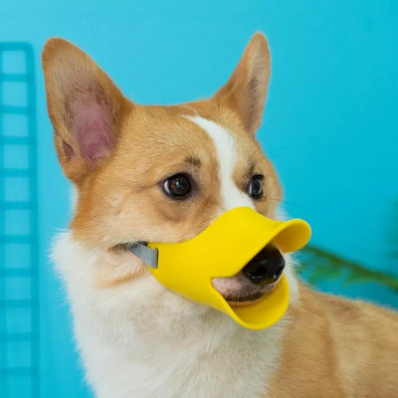 Penutup mulut anjing bentuk mulut bebek bahan silikon duckbill