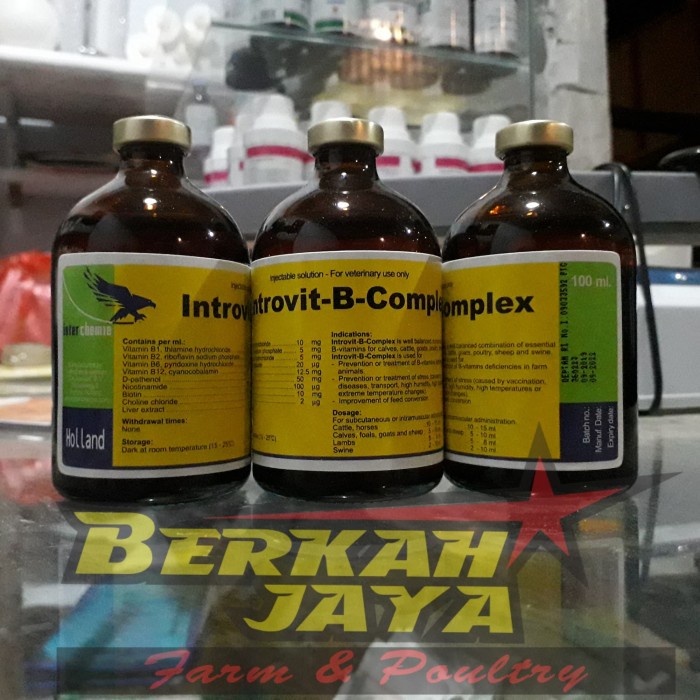 Introvit-B-Complex Injeksi Vitamin B Kompleks Hewan (BERKUALITAS)