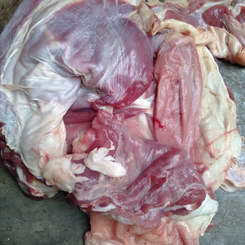

Daging Sop Kambing 1/2kg