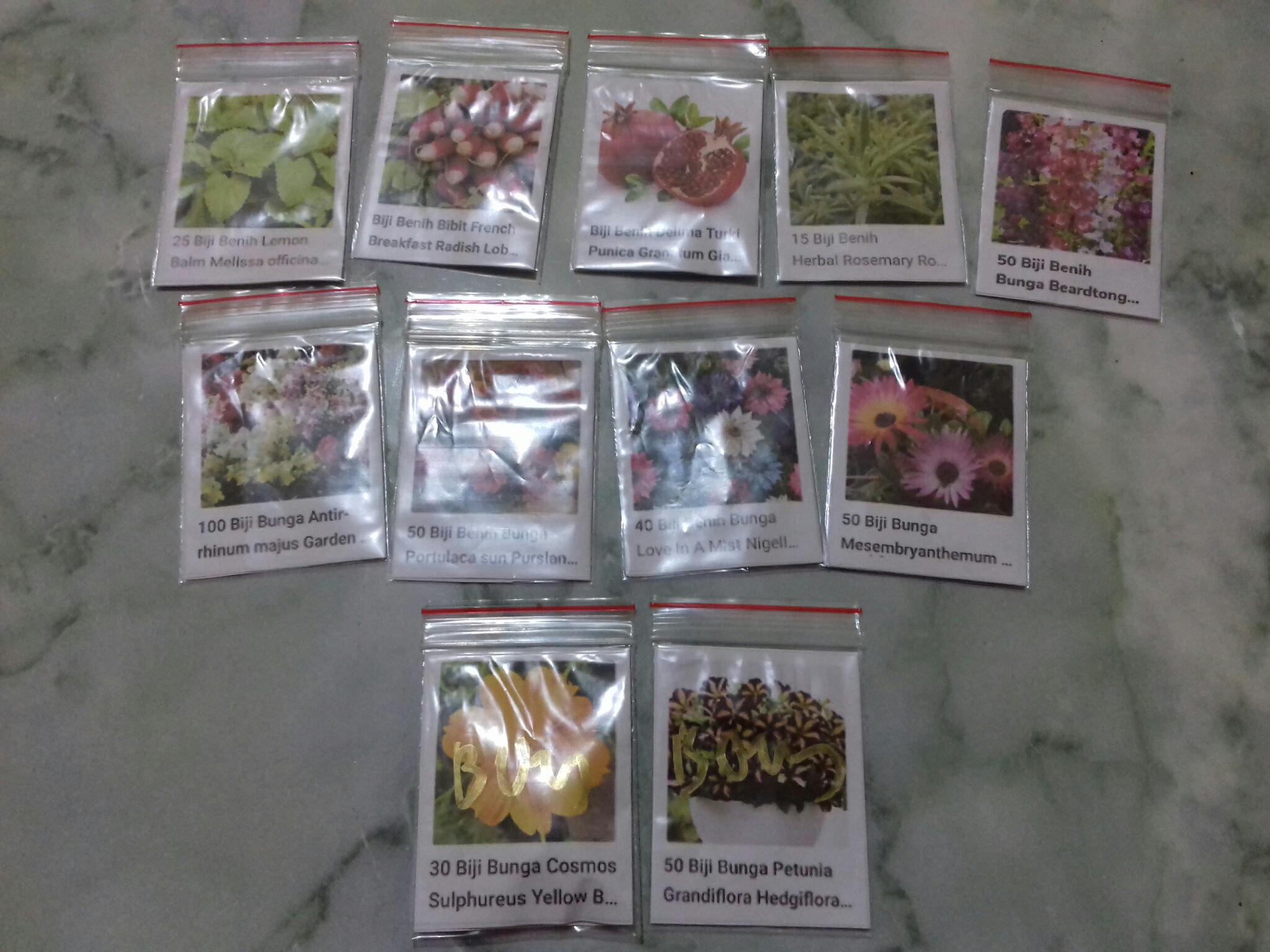 Biji Benih Bibit French Breakfast Radish Lobak Raphanus Sativus Lobak