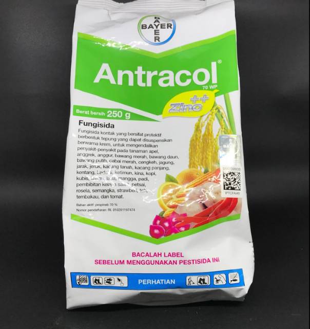 Fungisida Antracol 70WP 250 gram - obat jamur