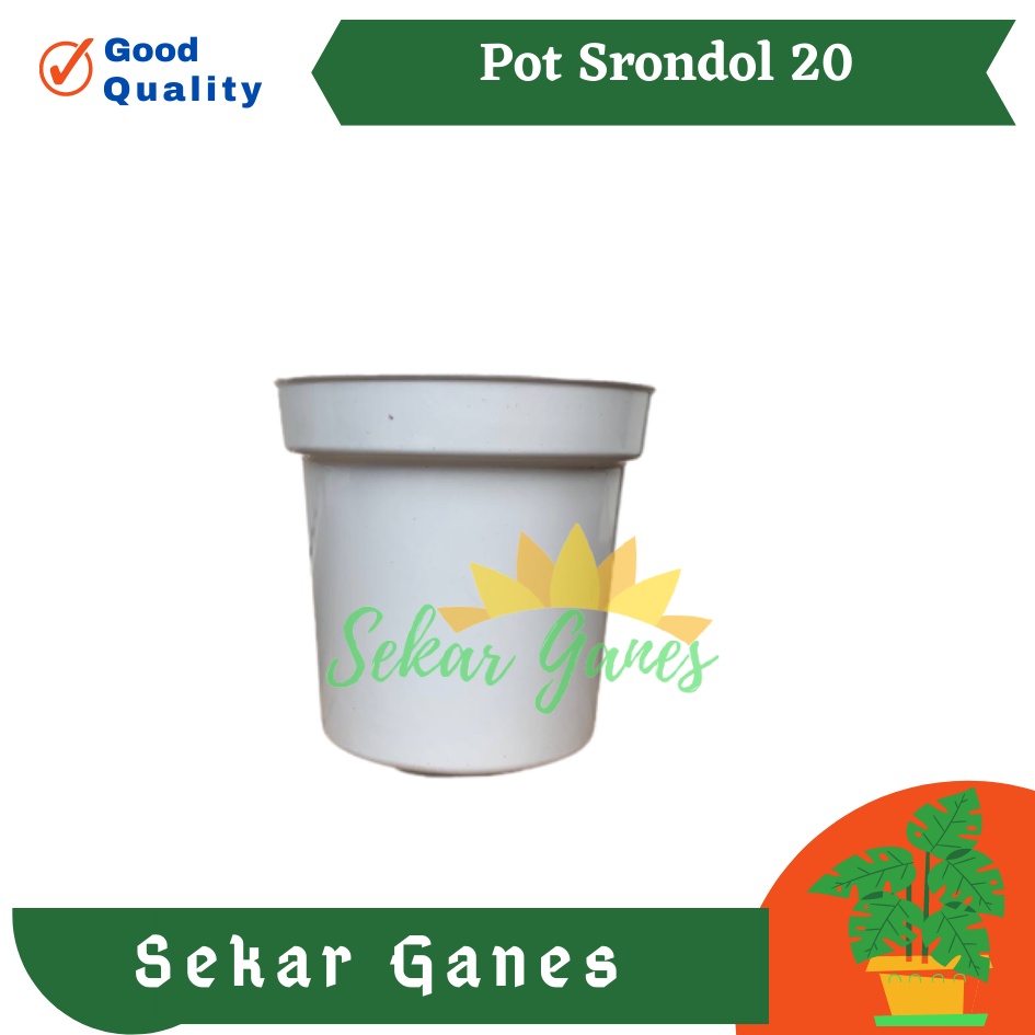 Sekarganes Pot Tinggi Srondol 20 Putih - Pot Tinggi Usa Eiffel Effiel 18 20 25 Lusinan Pot Tinggi Tirus 15 18 20 30 35 40 50 Cm Paket murah isi 1 lusin pot bunga plastik lusinan pot tanaman Pot Bibit Besar Mini Kecil Pot Srondol 15