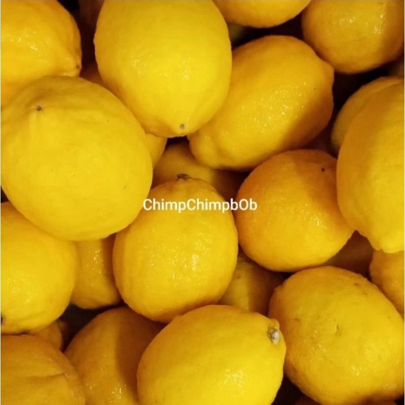 

LEMON IMPORT SEGAR 500 GRAM / FRESH LEMON IMPORT 500 GRAM