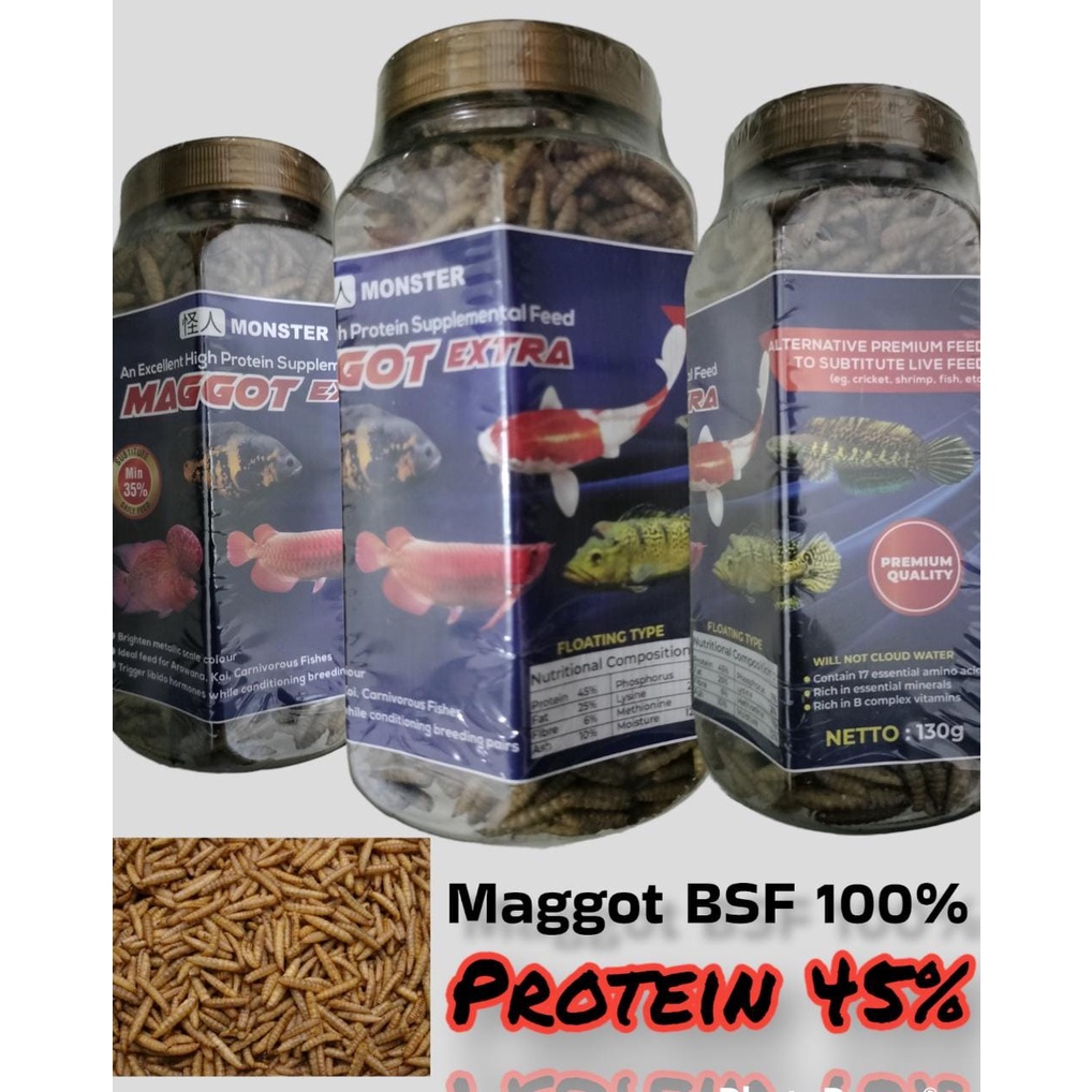 ORIGINAL 100% MAKANAN IKAN MAGGOT BSF MAGOT KERING TINGGI PROTEIN TERLARIS