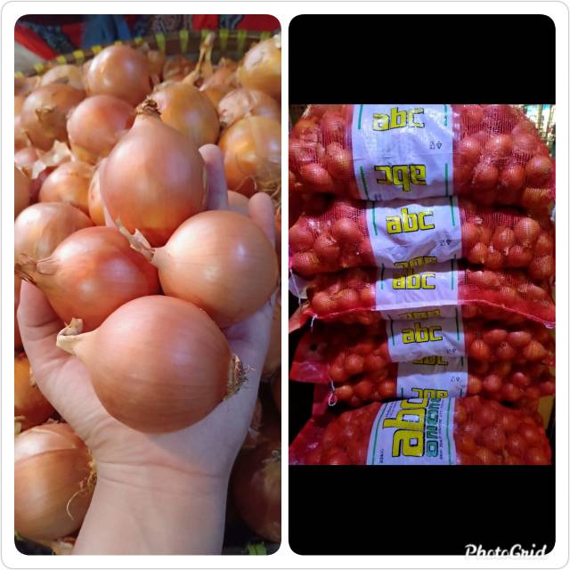 

Bawang bombay 1 pcs