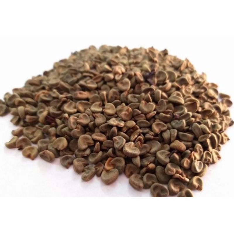 

Seeds Biji / Benih bunga Rosella Rosela Hibiscus Sabdariffa isi 250 Gram