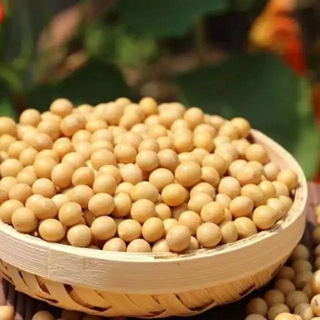 

Kacang kedelai organik 250gram