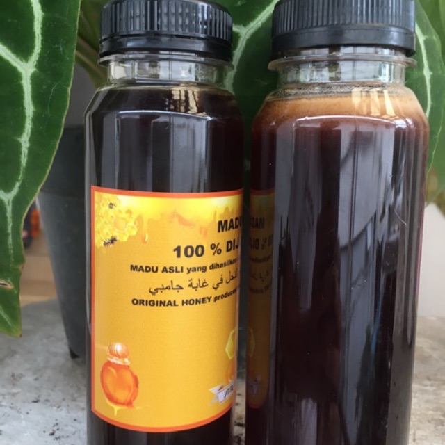 

MADU TERNAK ASLI DARI HUTAN JAMBI!!