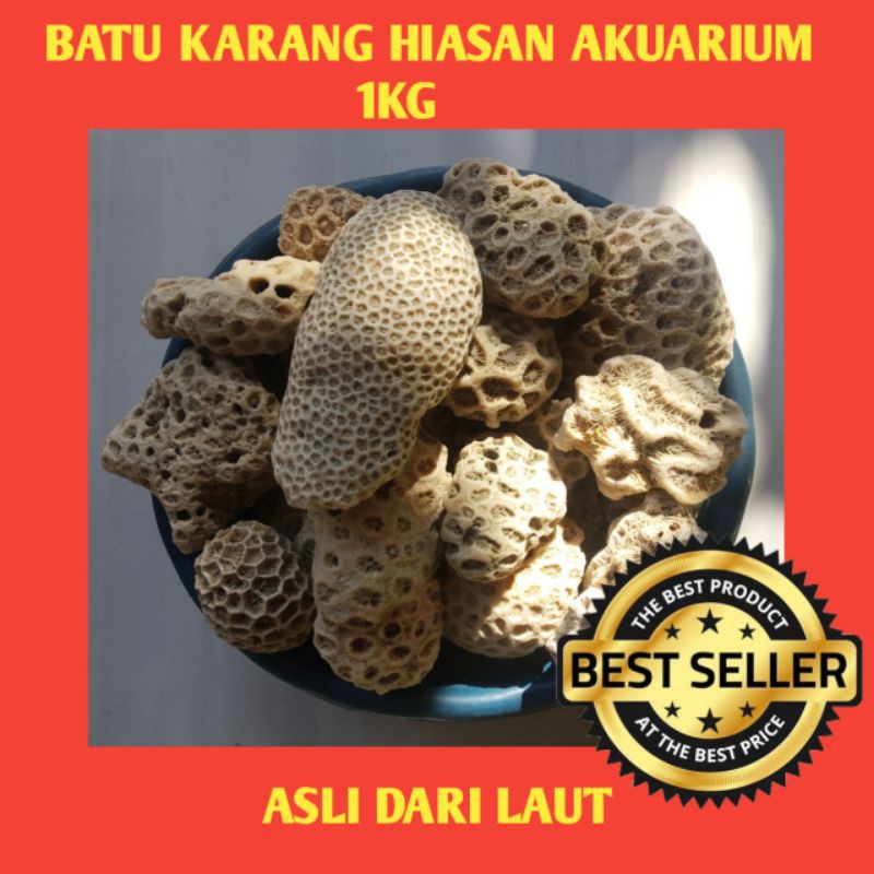 Batu Karang Batu Aquascape Hiasan Aquascape Hiasan Akuarium