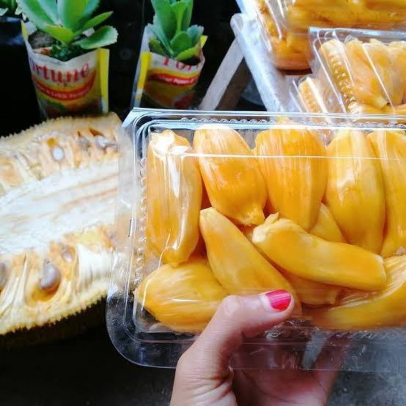 

NANGKA KUPAS