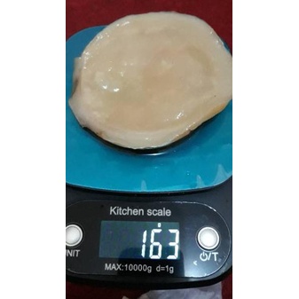 

[KODE PRODUK LZB7L7892] !!! SCOBY ATAU JAMUR DIPO UNTUK MEMBUAT KOMBUCHA