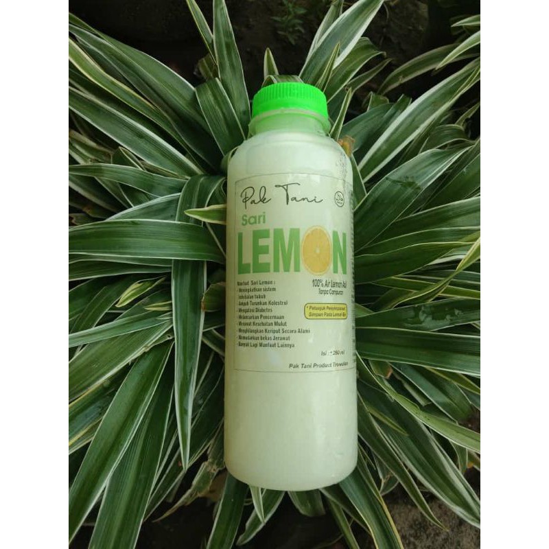 

sari lemon paktani 100% asli tanpa campuran