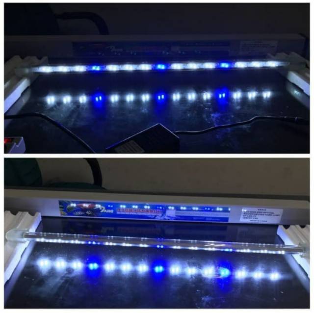 Lampu Arowana Arwana Yang Oval 4p