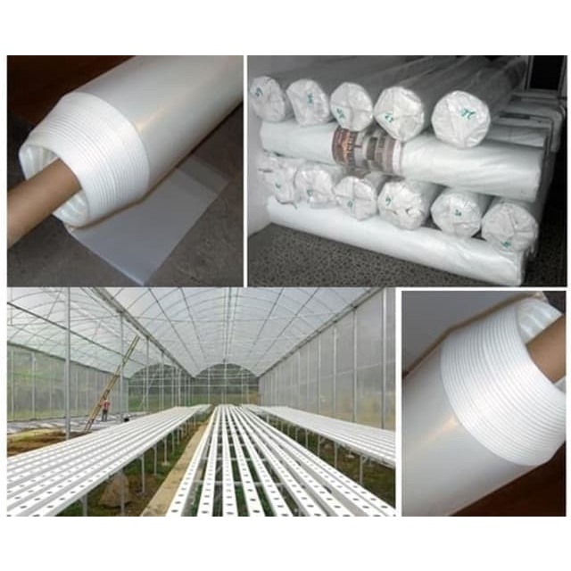 Plastik UV Green House Panjang 1 Roll X Lebar 6 Meter Merk JUARA