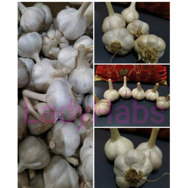 

Bawang putih cutting (500gr) dappor Nyai pasar online