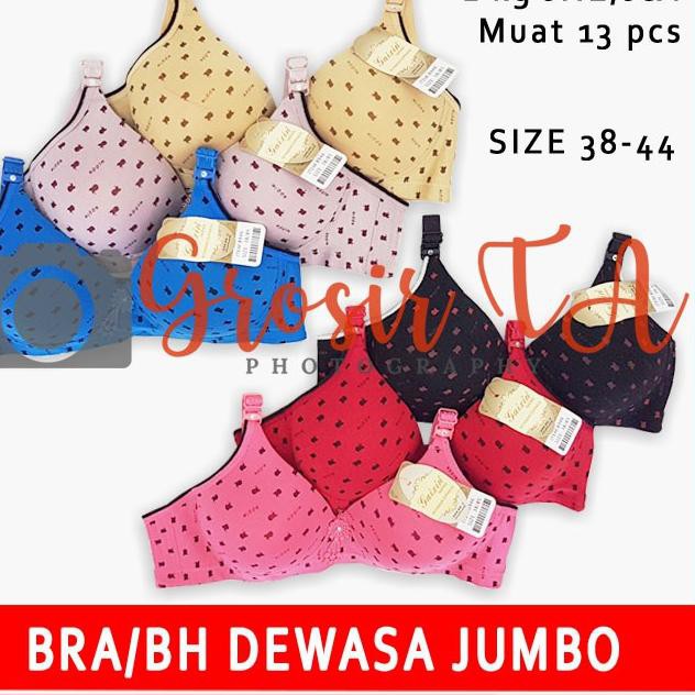 Diskon KODE-770 GTA Gaixin Apel Bra Fashion Wanita Busa Tanpa Kawat Hak 3 Size 38, 40, 42, 44 - GT