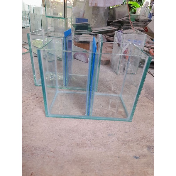 SOLITER CUPANG SEKAT