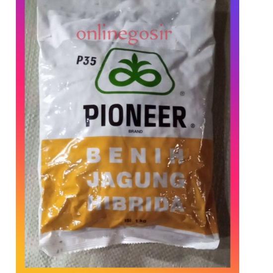⇯ [ PROMO ] 1KG | benih jagung pioneer hibrida P35 1KG リ