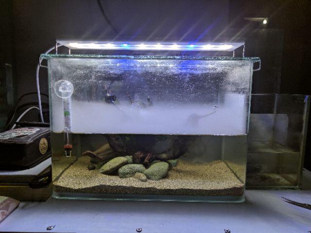 ☀supb☀ Garden Tool Electric Ultrasonic Mist Maker Fogger Garden Pool Water Fountain Pond Atomizer