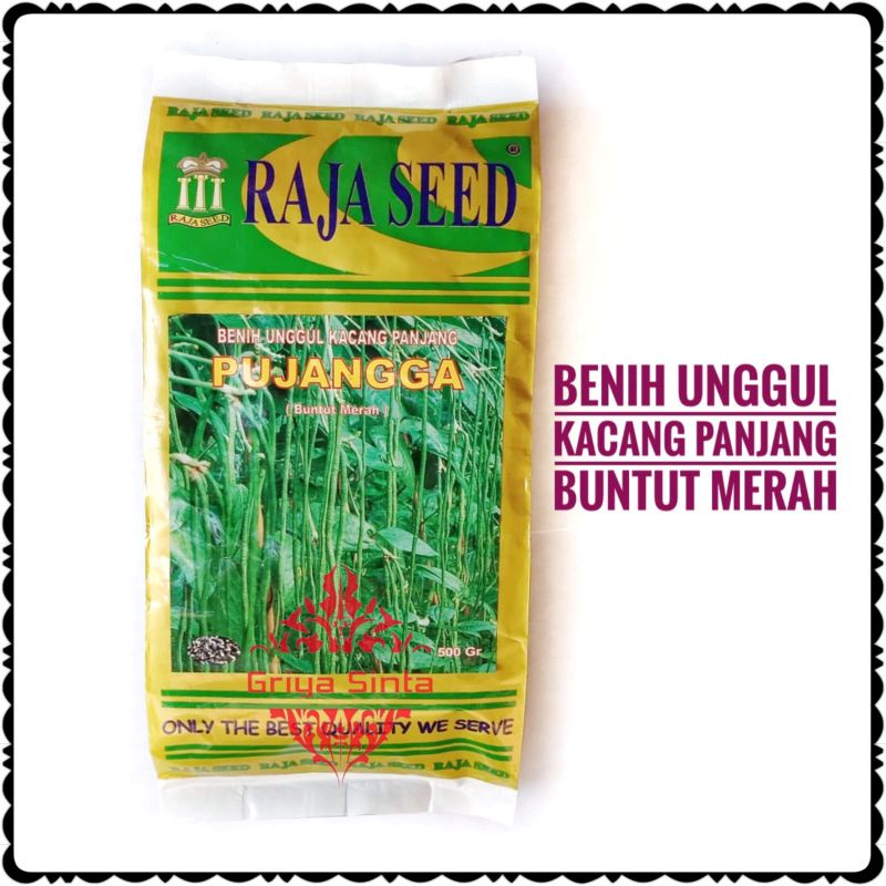 Benih Unggul Kacang Panjang Buntut Merah Raja Seed Pujangga