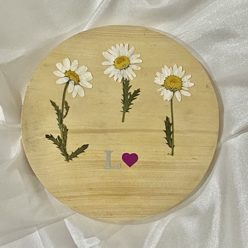 Bunga Daisy Bertangkai / Daisy Flower with Stem / Pressed Flower DIY