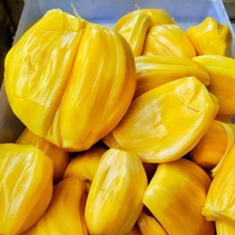 

Nangka Dulang kupas isi 500gram