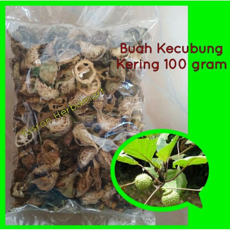 

BUAH KECUBUNG WULUNG KERING 100 GRAM