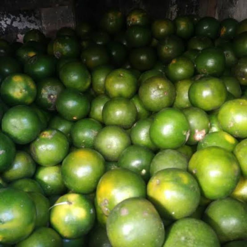 

JERUK PERAS SEGAR 500GRAM