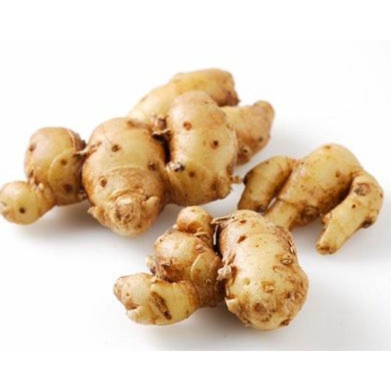 

kencur 1kg