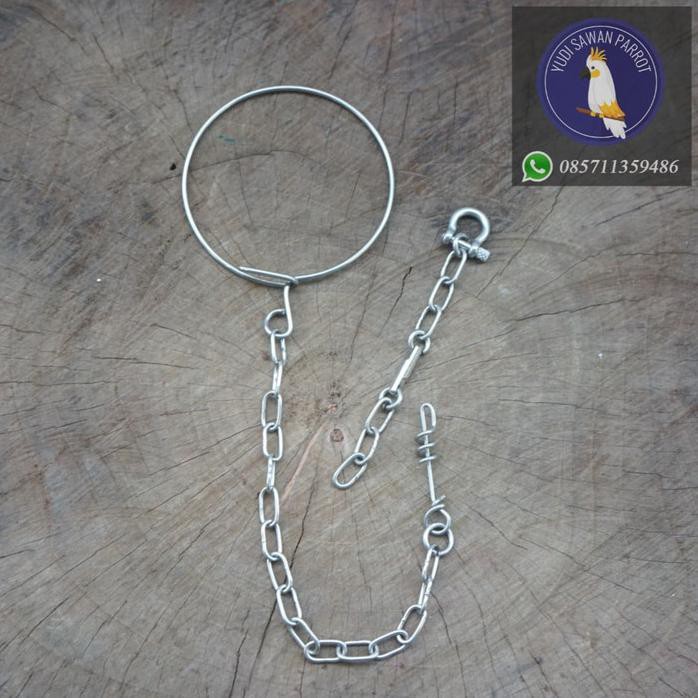 RANTAI RANTE BURUNG NURI KEPALA HITAM AMBON KAKATUA GOFFIN GALAH ~BERKUALITAS~