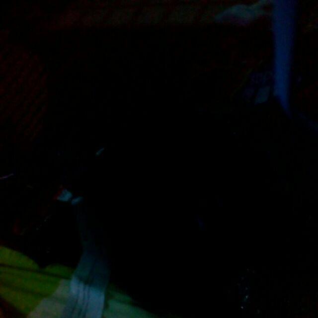 Xenon 400kg Tali Pengikat Barang Motor Ratchet Tie Down Set 1 In X 5 M