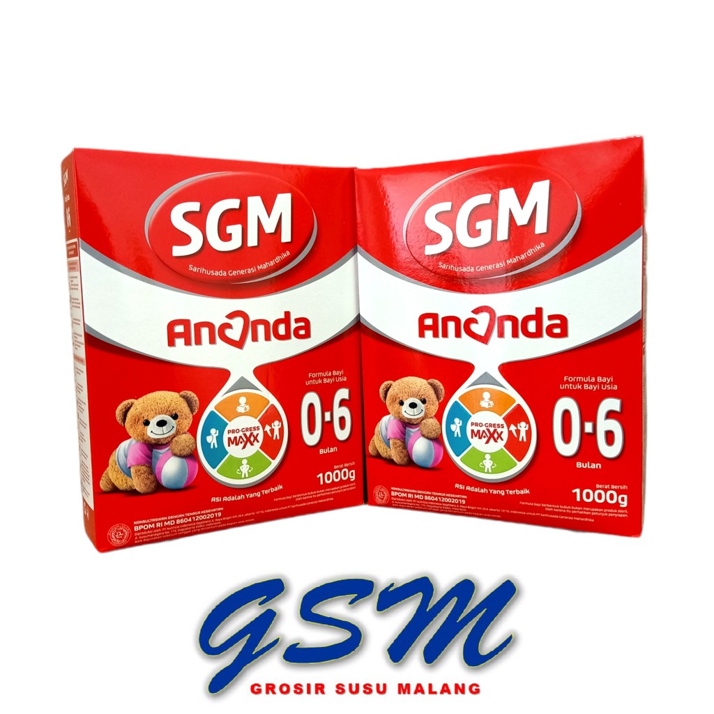 SGM Ananda 0-6 1000gr