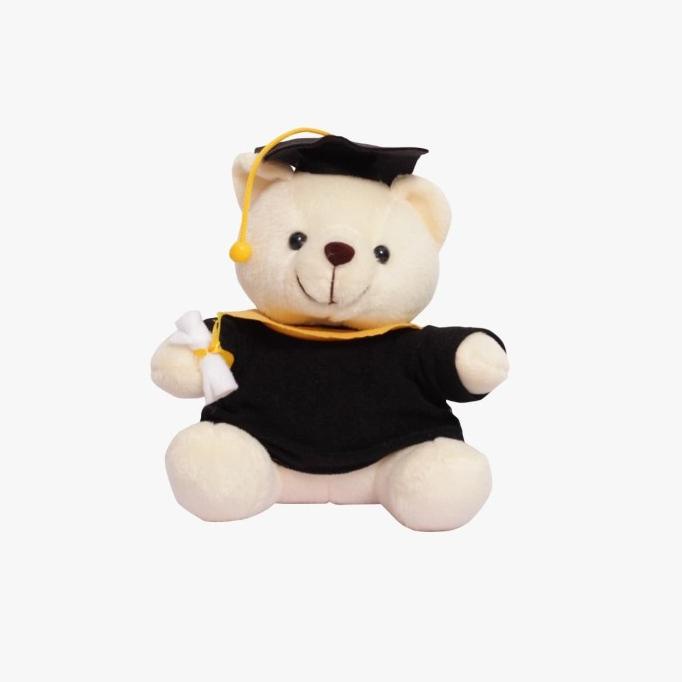 Boneka Wisuda / Boneka Wisuda Beruang / Boneka Wisuda Murah