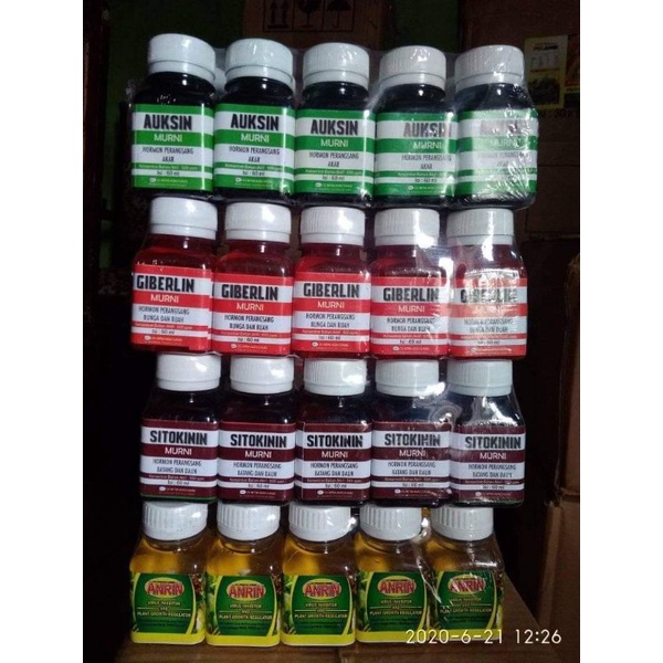 AUKSIN, GIBERELIN, SITOKININ, ANRIN, ZAT PENGATUR TUMBUHAN, ZAT PENGATUR BUAH DAN TANAMAN ORIGINAL