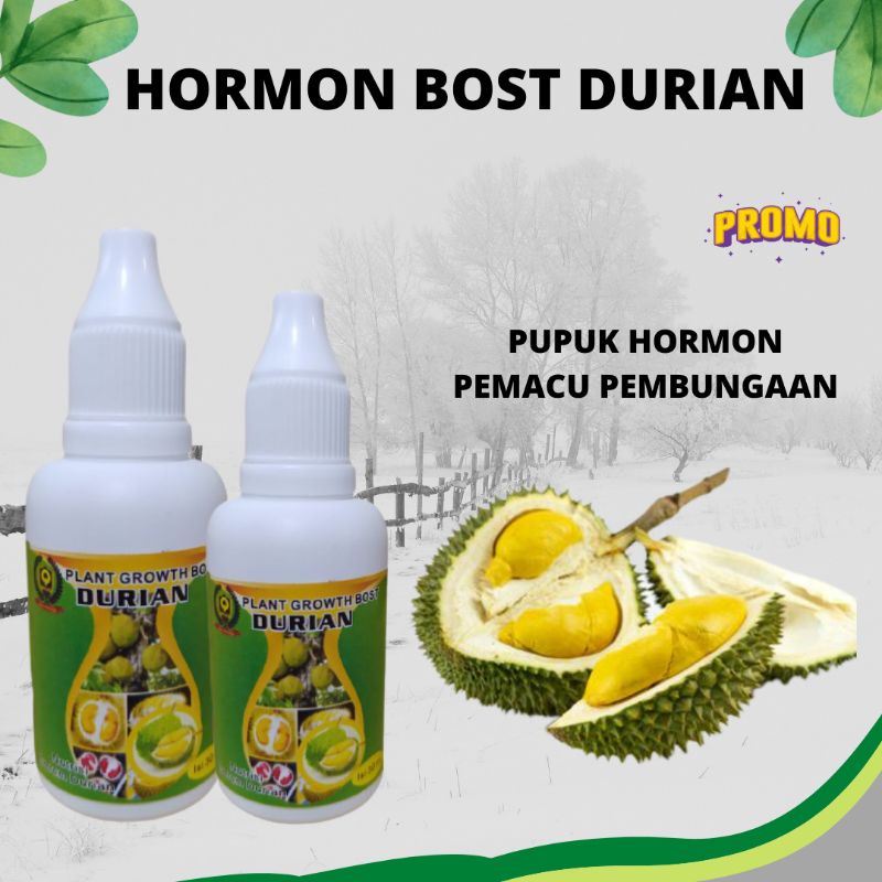 Jual Pupuk Buah Durian Lokal Pupuk Hormon Durian Agar Tidak Rontok