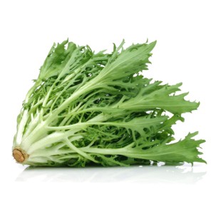 

Endive /250gr #Segar #Online #Bandung #Cimahi