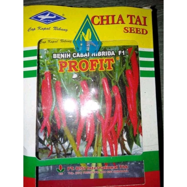 Benih CABE BESAR PROFIT / 10 GRAM