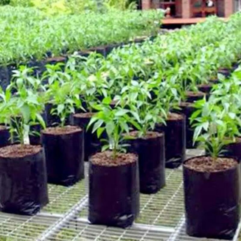 Harga per 1/2 kg plastik polybag tanaman / polibek / Kantong Tanam Bibit