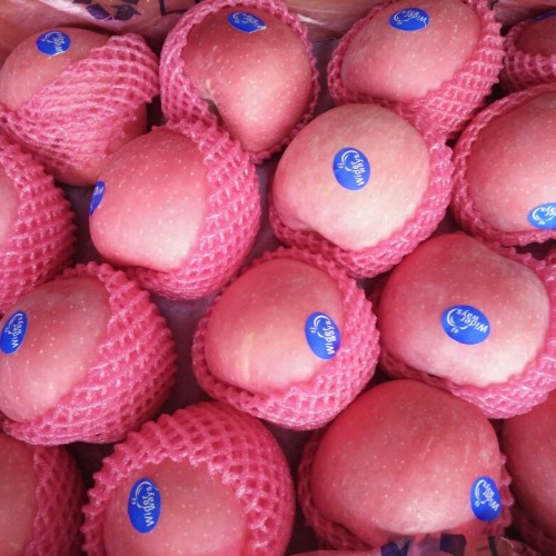 

Apel Rosy Wider Ways