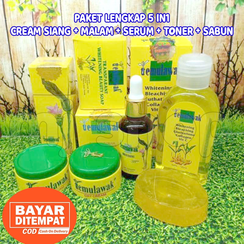 PAKET CREAM TEMULAWAK ORIGINAL 5 IN1 (cream+toner+serum+sabun)Paket lengkap cream temulawak