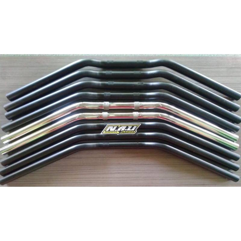 Stang RZR dan Raizer