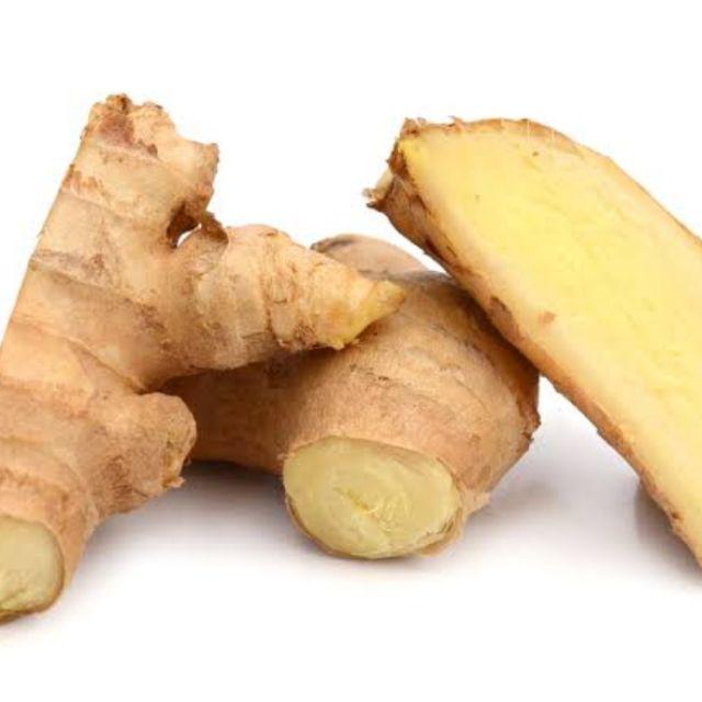 Rempah Rempah Kunyit Lengkuas Kencur Temu Kunci Temulawak Fresh 100 Gram Shopee Indonesia