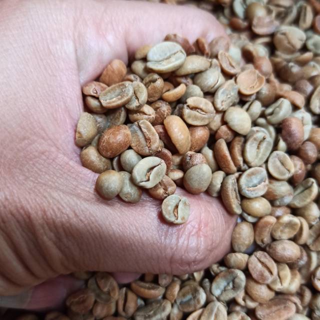 

Kopi Arabika Temanggung Wine Proses Greenbean Biji Kopi Mentah 1kg