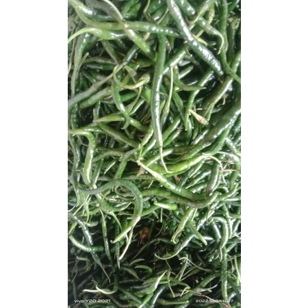 

Cabe Hijau Kriting Super 500 gr
