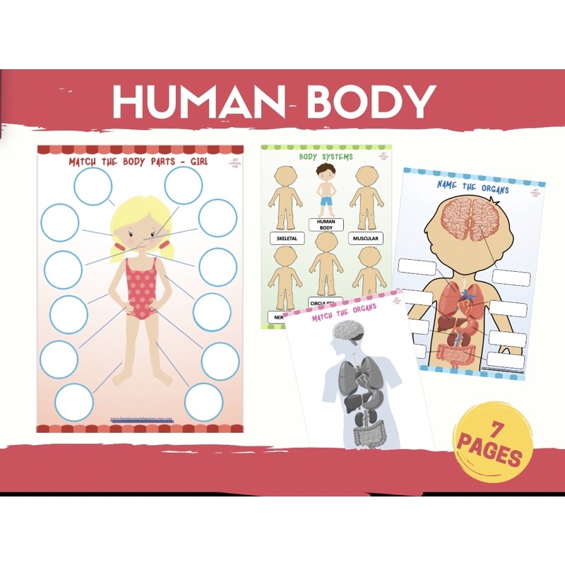 Finn Fun World Busy Book Anak - HUMAN BODY BUSY BOOK